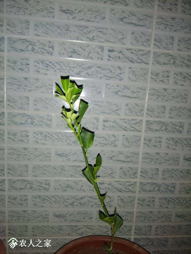 230912kxr5tp272s2yrply.jpg
