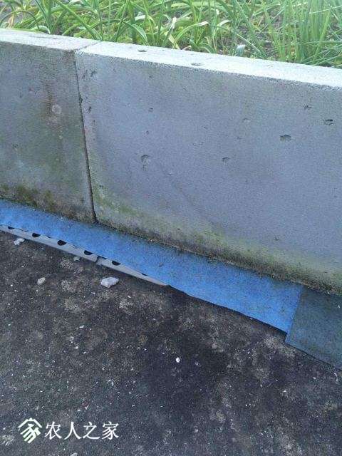 03.jpg