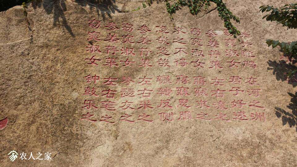 133156xnraue1zjiu256cq.jpg