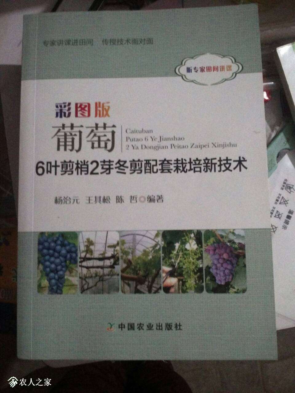 202454w7szm81iis65l5wt.jpg