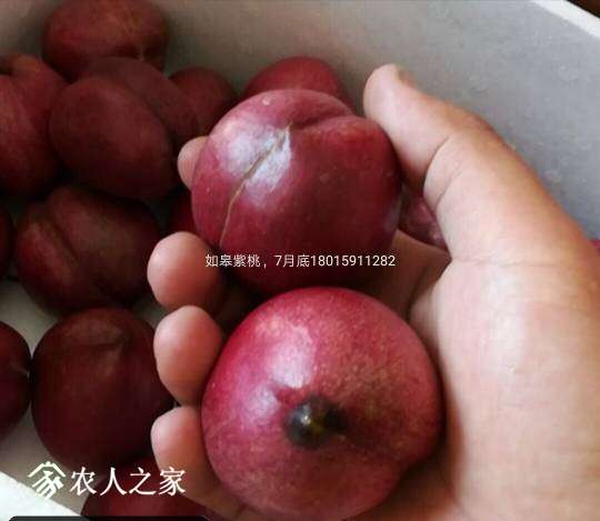 205312mkp6y386q80330kf.jpg