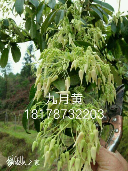 214432qr424u734322ssli.jpg