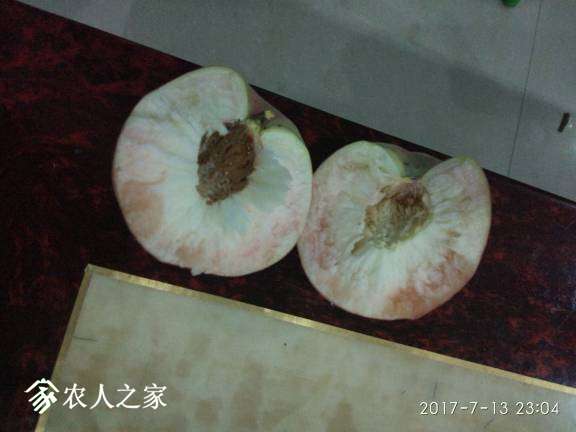 215008ecymeleyc0teypmm.jpg