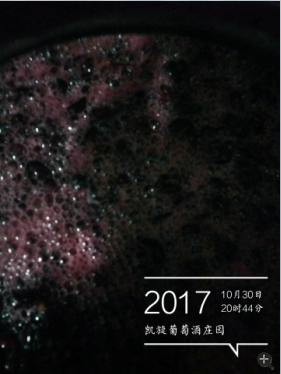 QQͼ20171031101024.png