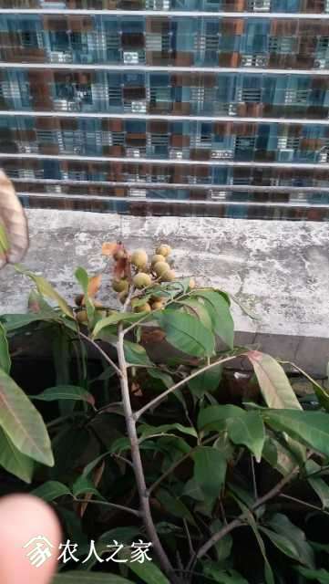20170911_185032.jpg