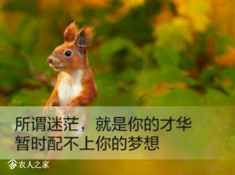 173020vnqc3qvss3x84slx.jpg