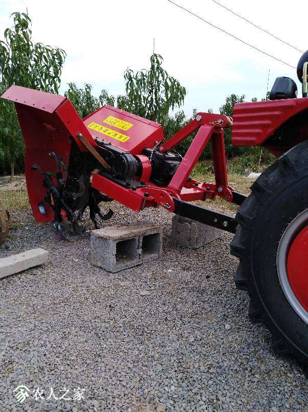 203455bijhrjxojroxvlip.jpg