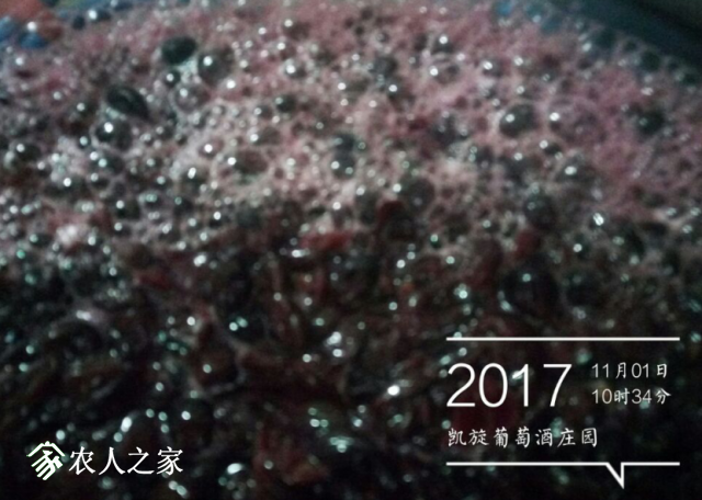 QQͼ20171101122123.png