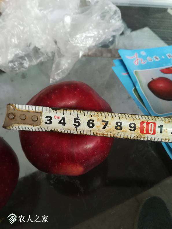 124342qz56fvvwfokv9zwu.jpg