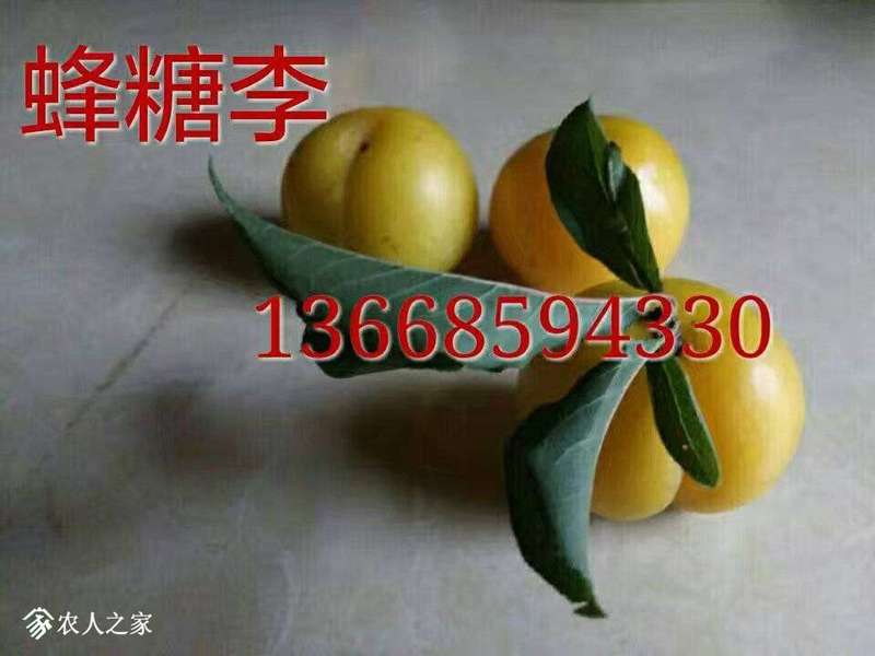 172140gfgamccdh0pcxxgb.jpg
