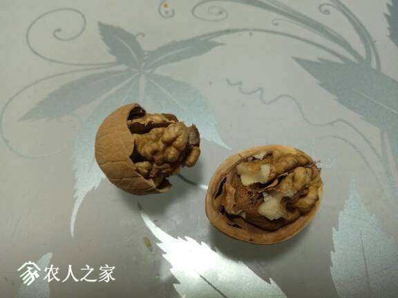 191009n9c2kk5lzqlblbld.jpg