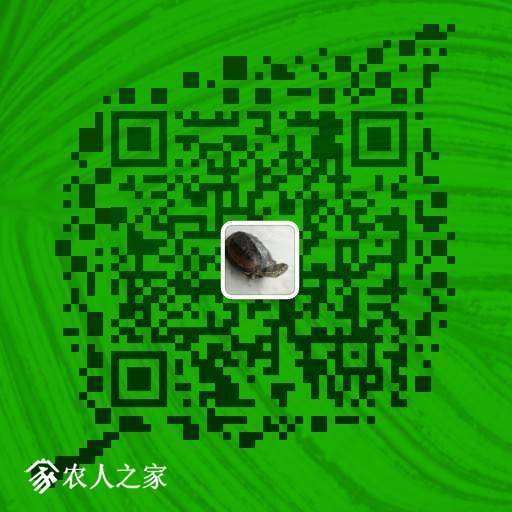 112544b1ofsoi1ix204flm.png
