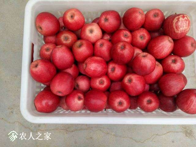 ΢ͼƬ_20171102155251.jpg
