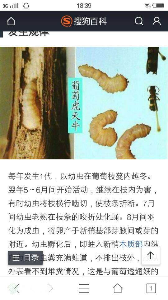 184323ev9l96nmm8ouh9pl.jpg