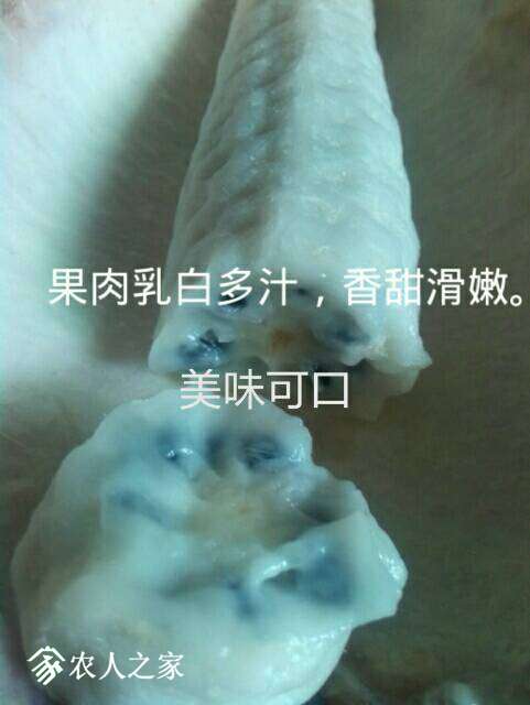 202444xbciqcf50iqq22g0.jpg