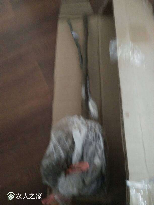 121711xsdy8i7jdpyi4rjh.jpg