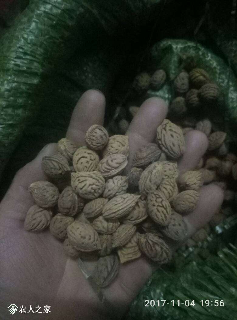 200039kjqzhe8qsasrt6ve.jpg