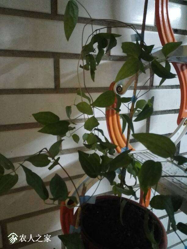 120154ytmjkztnt9tnxnhw.jpg