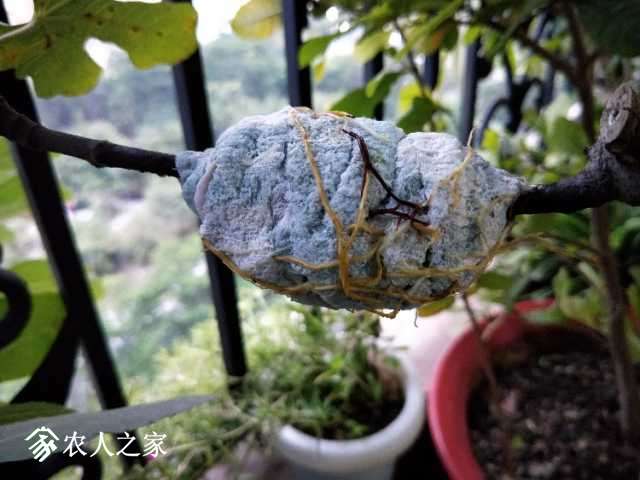 IMG20171105173811.jpg