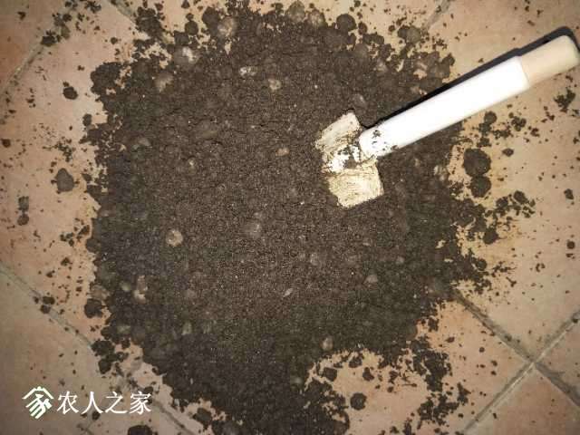 IMG20171105173617.jpg