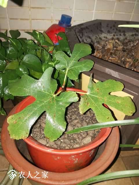 IMG20171105180302.jpg