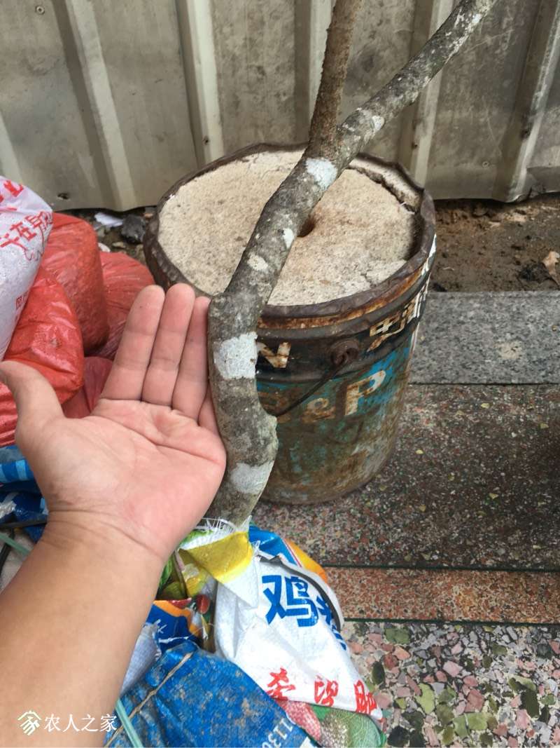 190601j63163vuid2o2vdw.jpg