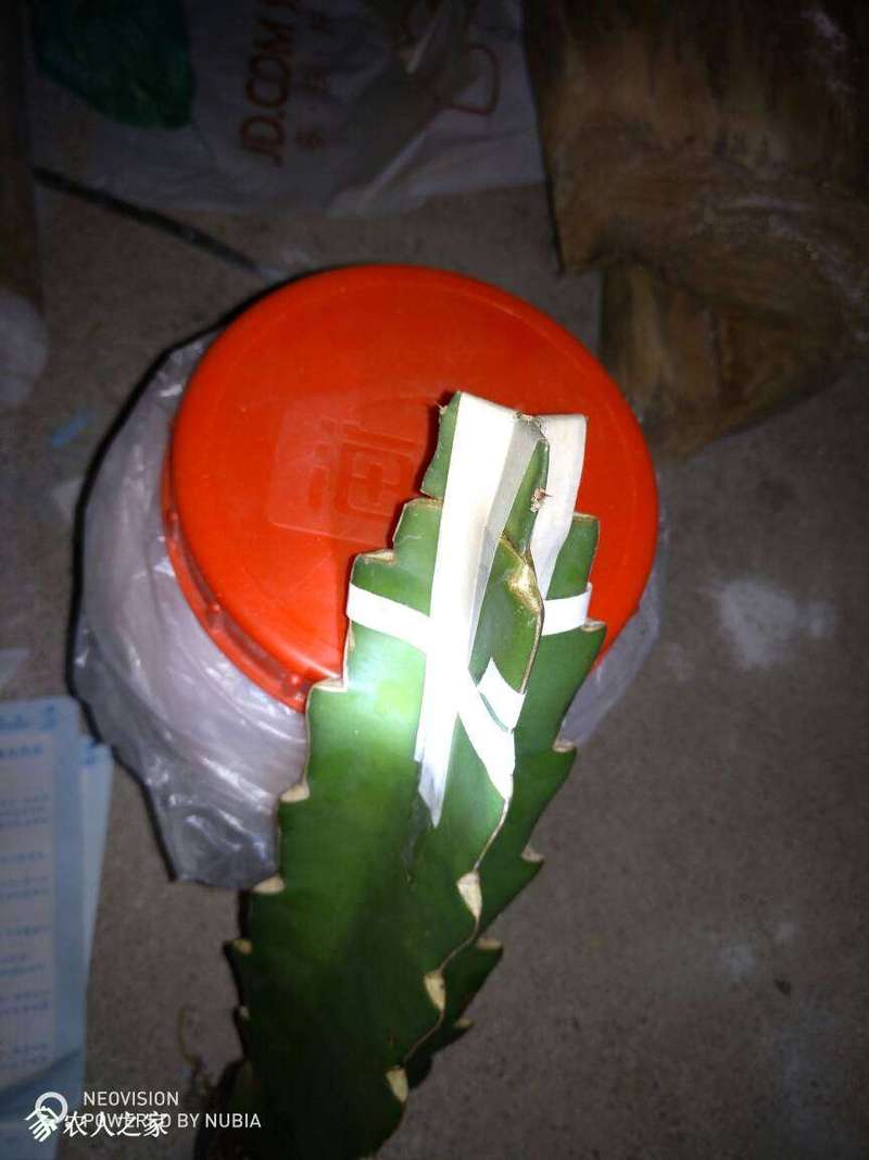 131137a32mzanyz3hmpa3g.jpg