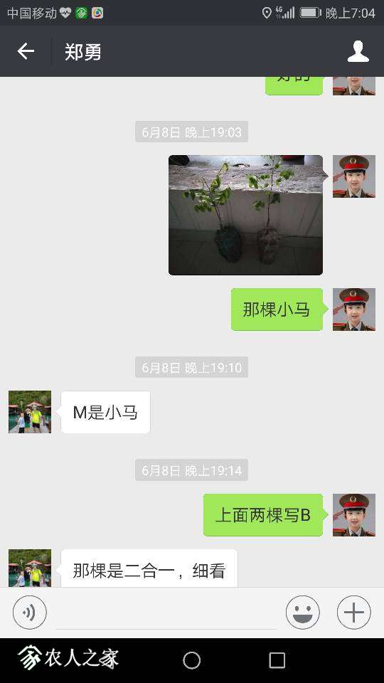 191052e4ldychqdjr8ijj9.png