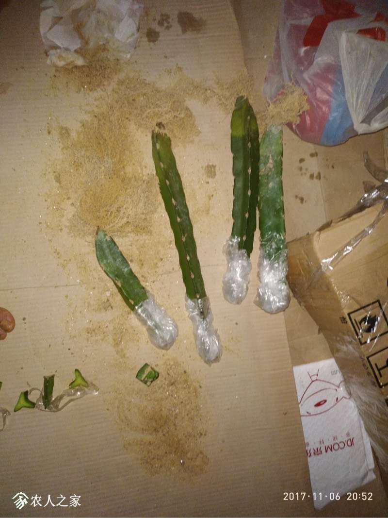 224327j04j78cgx74px7pf.jpg