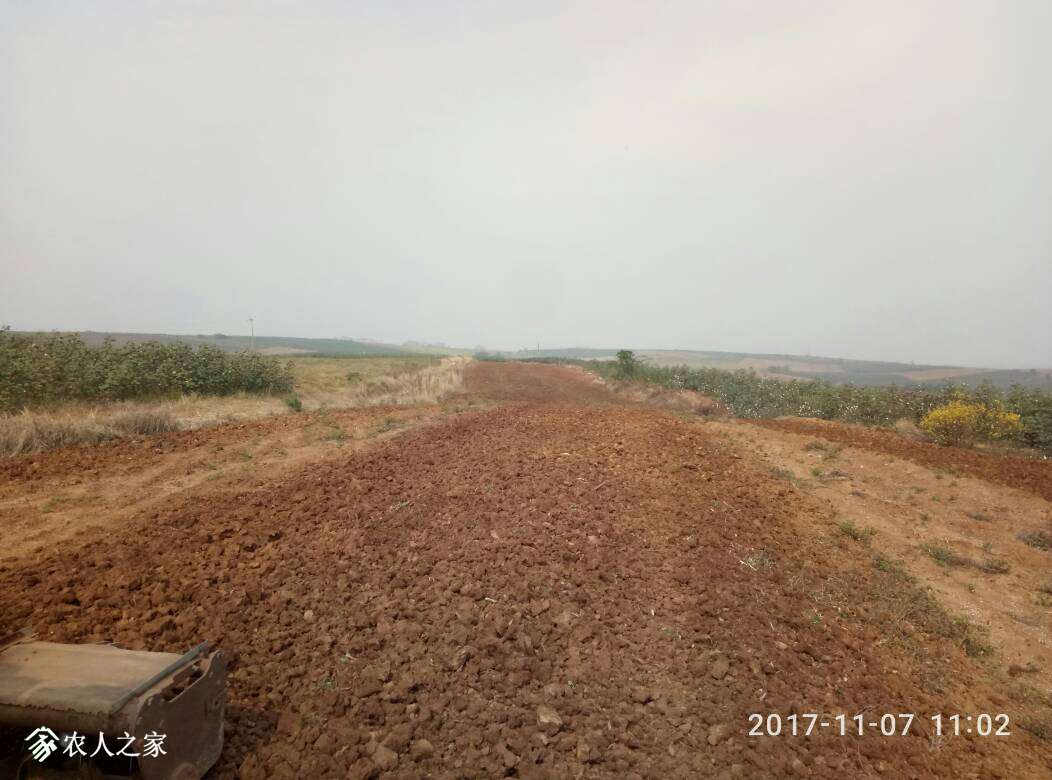 111032hozjtke8qrn5nkwa.jpg