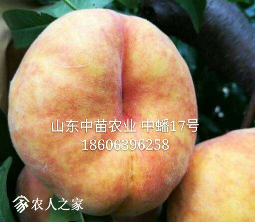 210038s599gcpjbko93ghb.jpg