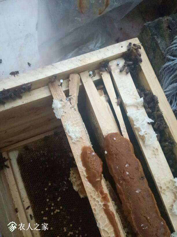 012900klla9nlbj7kloi37.jpg
