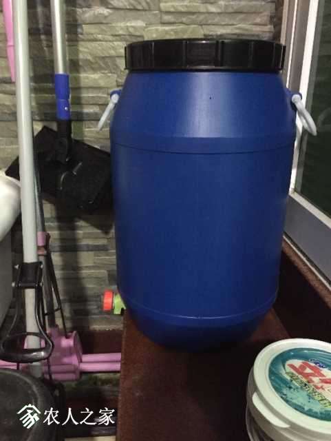 image.jpeg