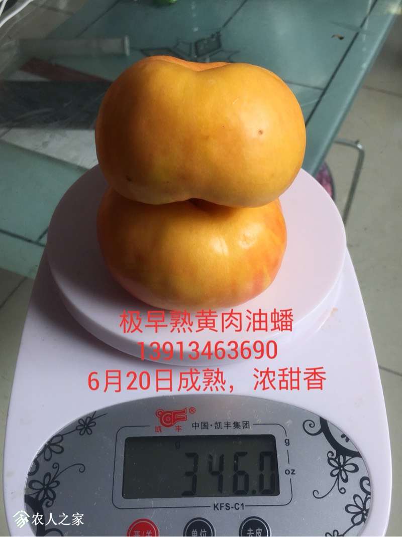 080420e9fdq0l99ltlkld3.jpg