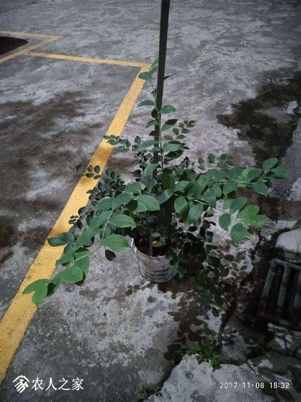 100322cpyhiwnzpdwowha8.jpg