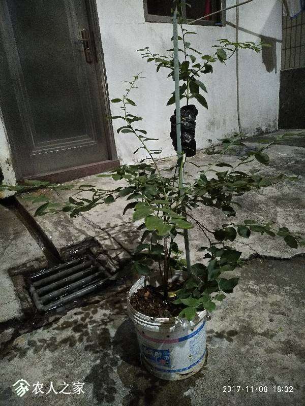 100322hnfojnow8vrmnq54.jpg