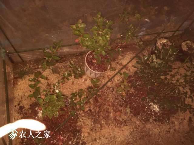 IMG_20171109_175841.jpg