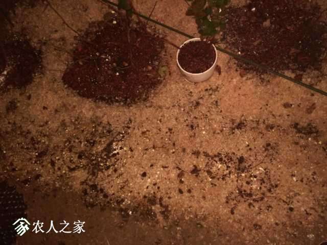 IMG_20171109_175906.jpg