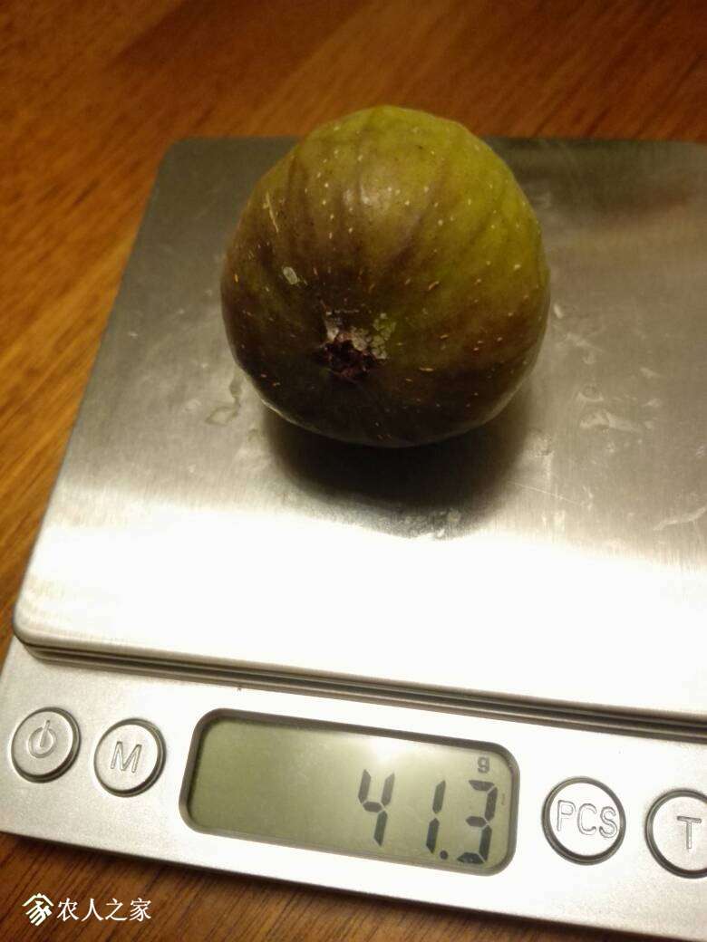 222350jdedlqle7jiijhpe.jpg