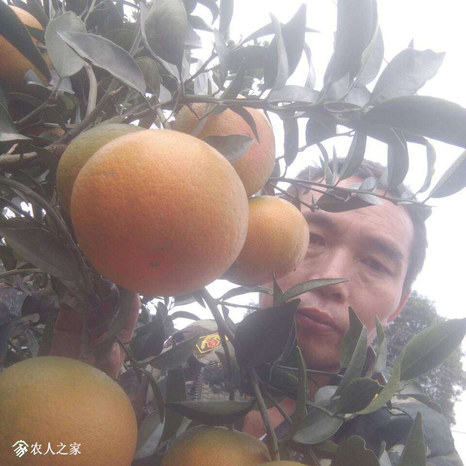 001336nt1qdmyxq7ynpm9y.jpg