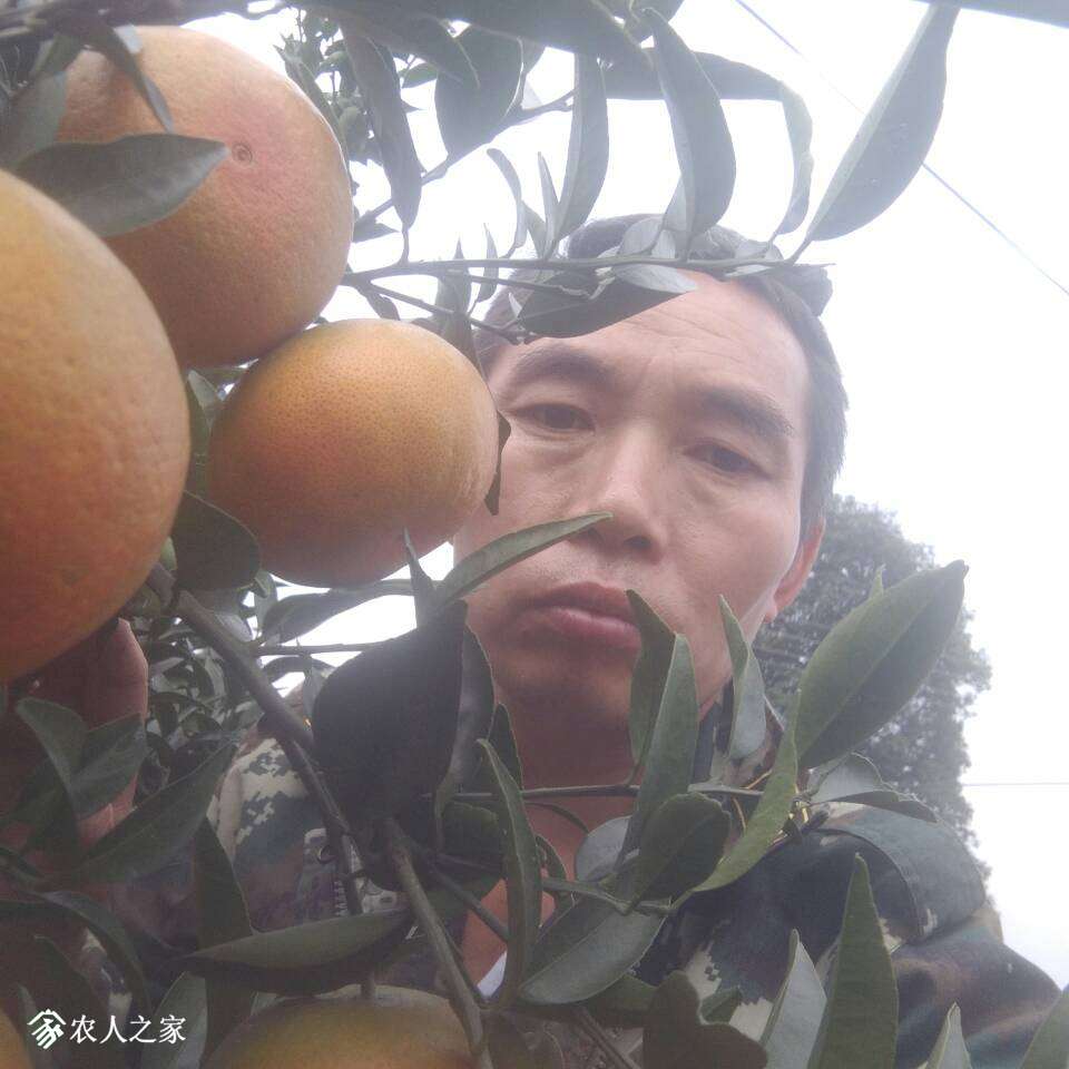 001336ze9eimcifvefvfne.jpg