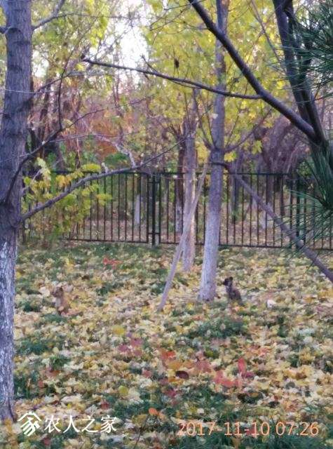 ΢ͼƬ_20171110092820.jpg