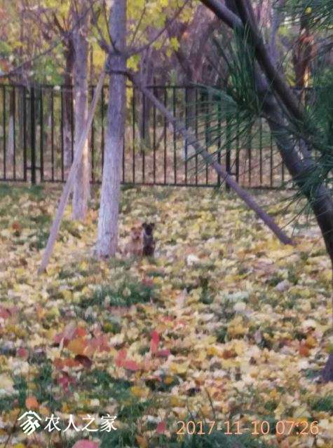 ΢ͼƬ_20171110092845.jpg