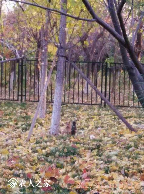 ΢ͼƬ_20171110092850.jpg