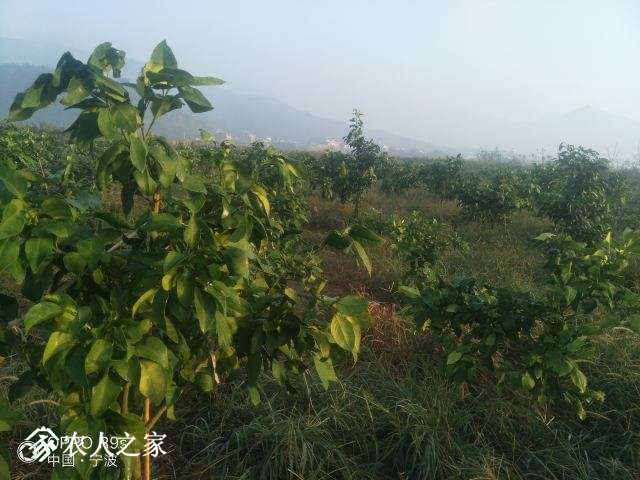IMG20171027064523.jpg