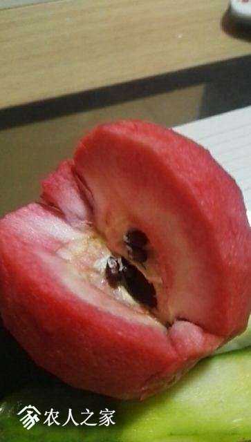 ۰غɫ֮