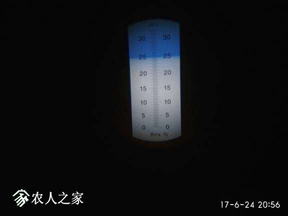 200738p365g1pehe346654.jpg