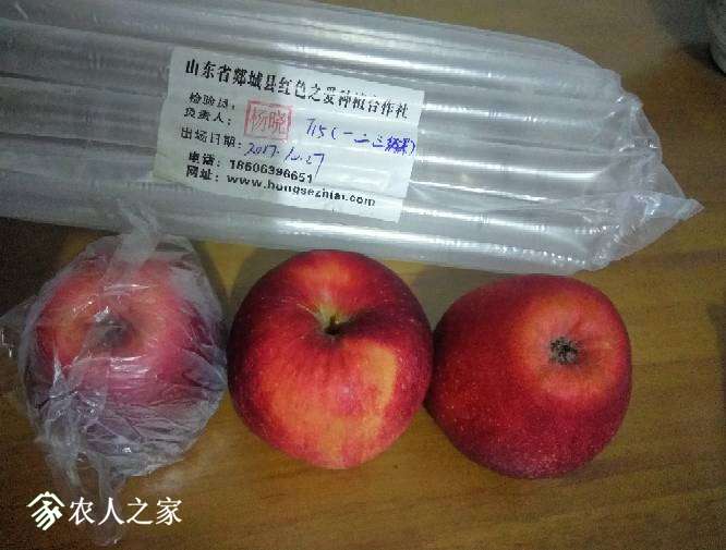 205302je5vegghhmzegmgr.jpg