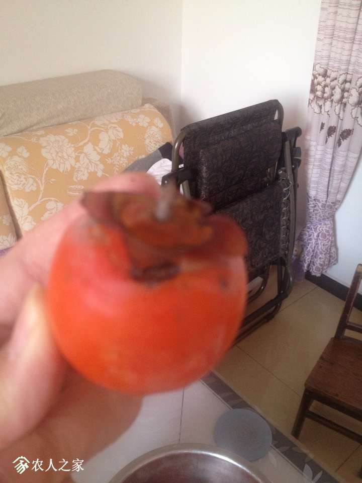 205712ihu53vhlkhwujhuv.jpg