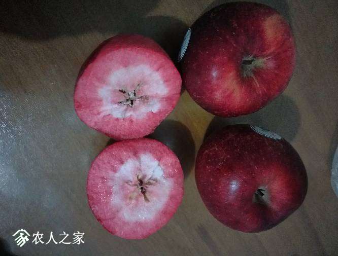 093844tji3d3ssbs7k7tbo.jpg